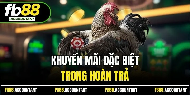Khuyến mãi đặc biệt trong hoàn trả