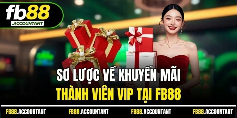 Sơ lược về khuyến mãi thành viên VIP tại FB88