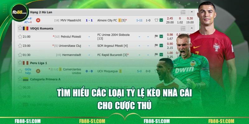 Tìm hiểu các loại tỷ lệ kèo nhà cái cho cược thủ